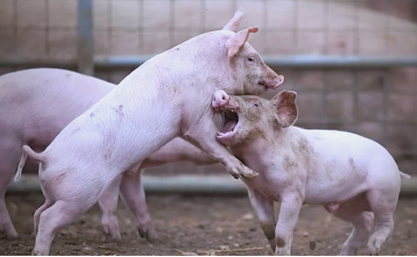 截屏2026-04-13 15.48.45.png 截屏2026-04-13 15.48.45.png