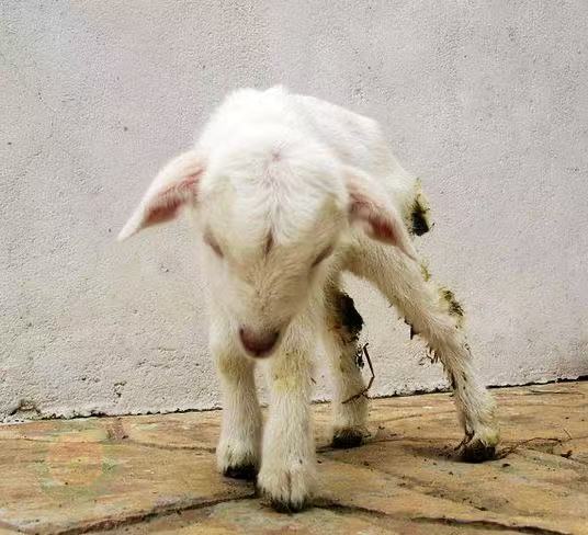 微信圖片_20260414092144.jpg 微信圖片_20260414092144.jpg